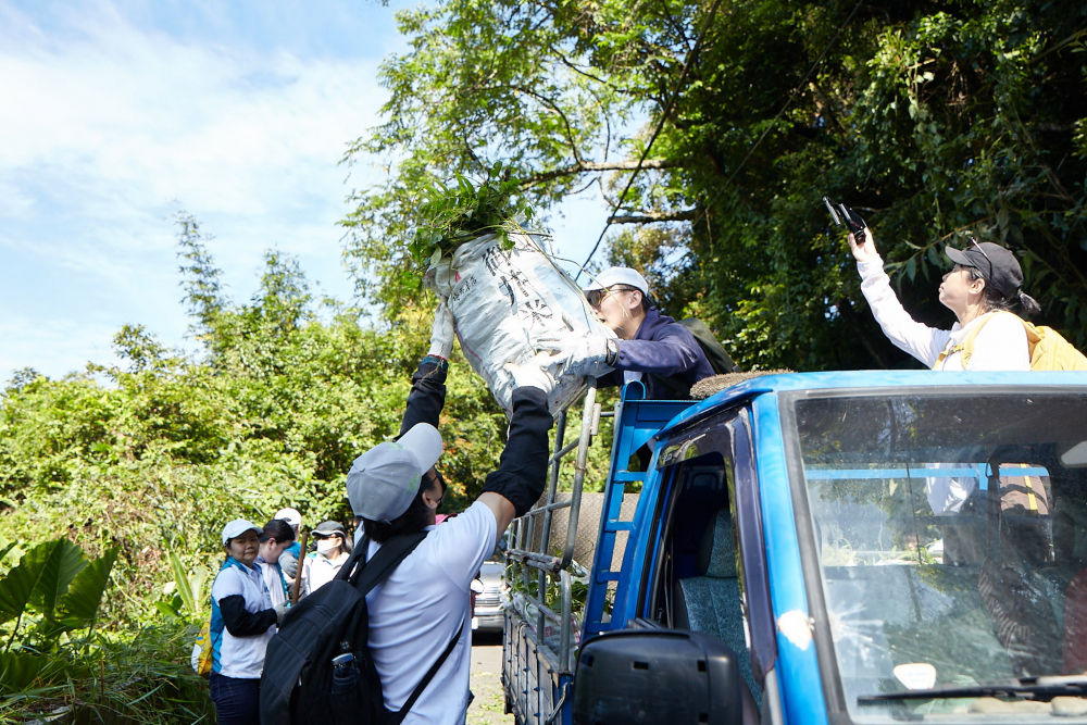 友達串聯志工組成水環境巡守隊，針對霄裡溪沿岸3公里的小花蔓澤蘭，定期進行移除與防治工作